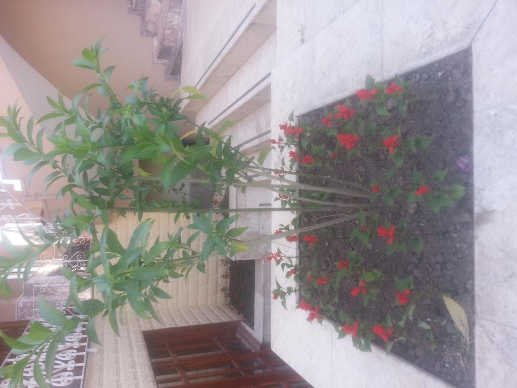 קמר Lanova Hotel מראה חיצוני תמונה